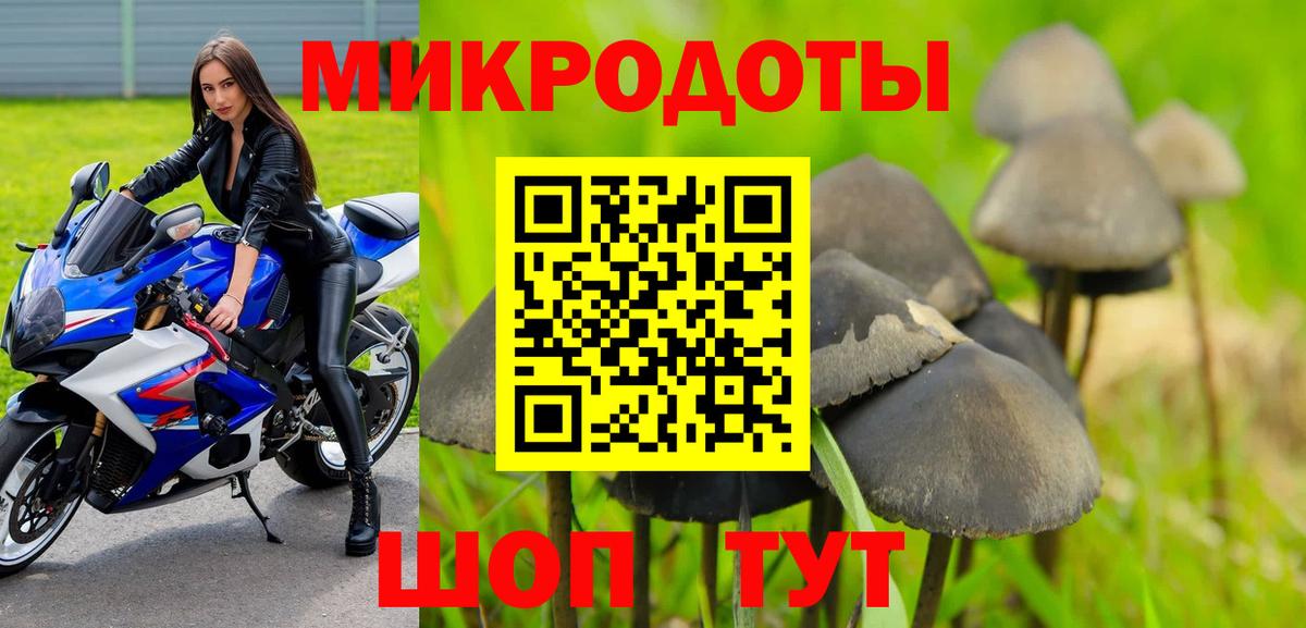 Псилоцибиновые грибы Psilocybine cubensis Лянтор